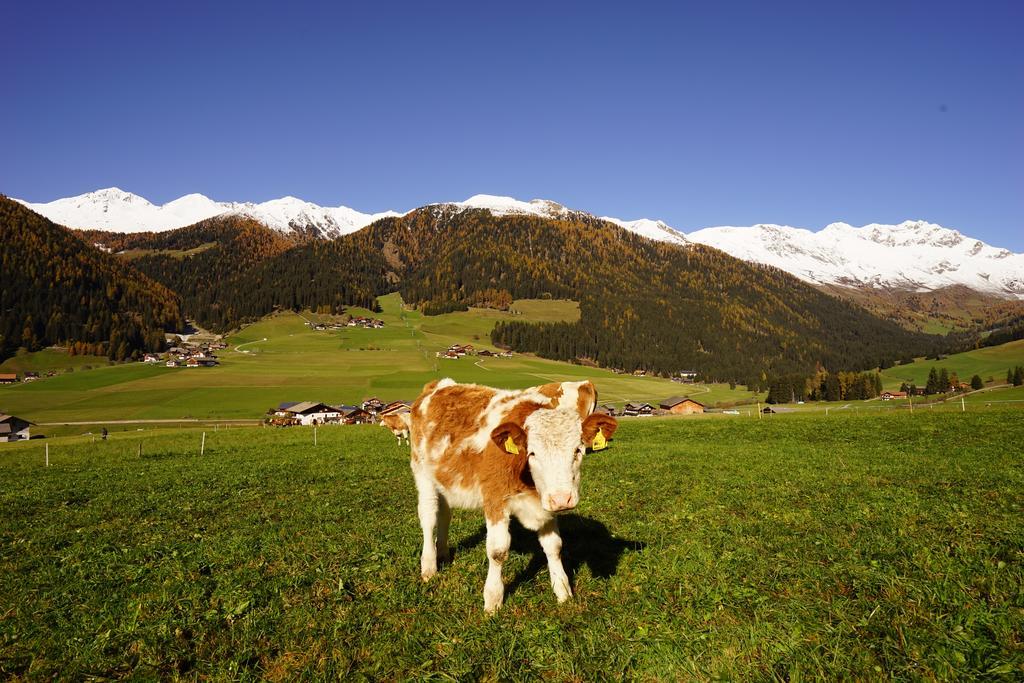 Unterhabererhof Apartman Santa Maddalena in Casies Kültér fotó