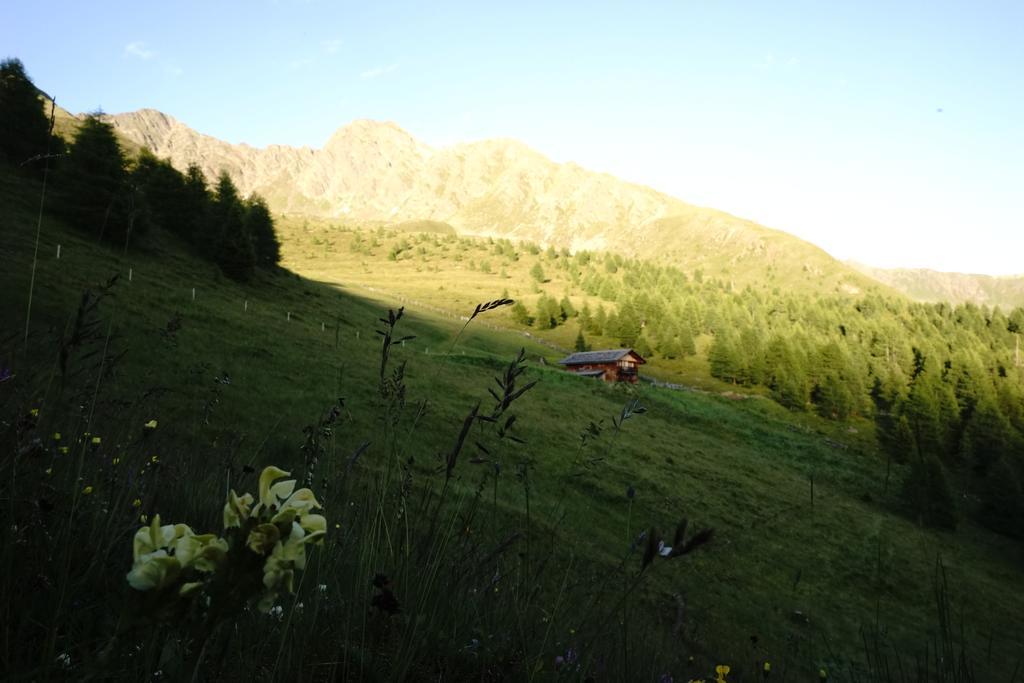 Unterhabererhof Apartman Santa Maddalena in Casies Kültér fotó