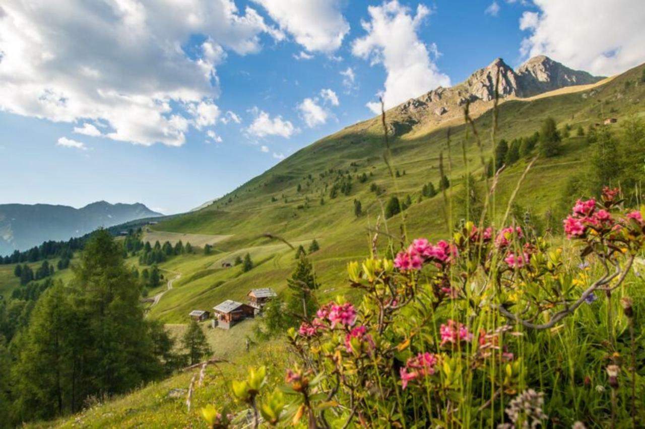 Unterhabererhof Apartman Santa Maddalena in Casies Kültér fotó