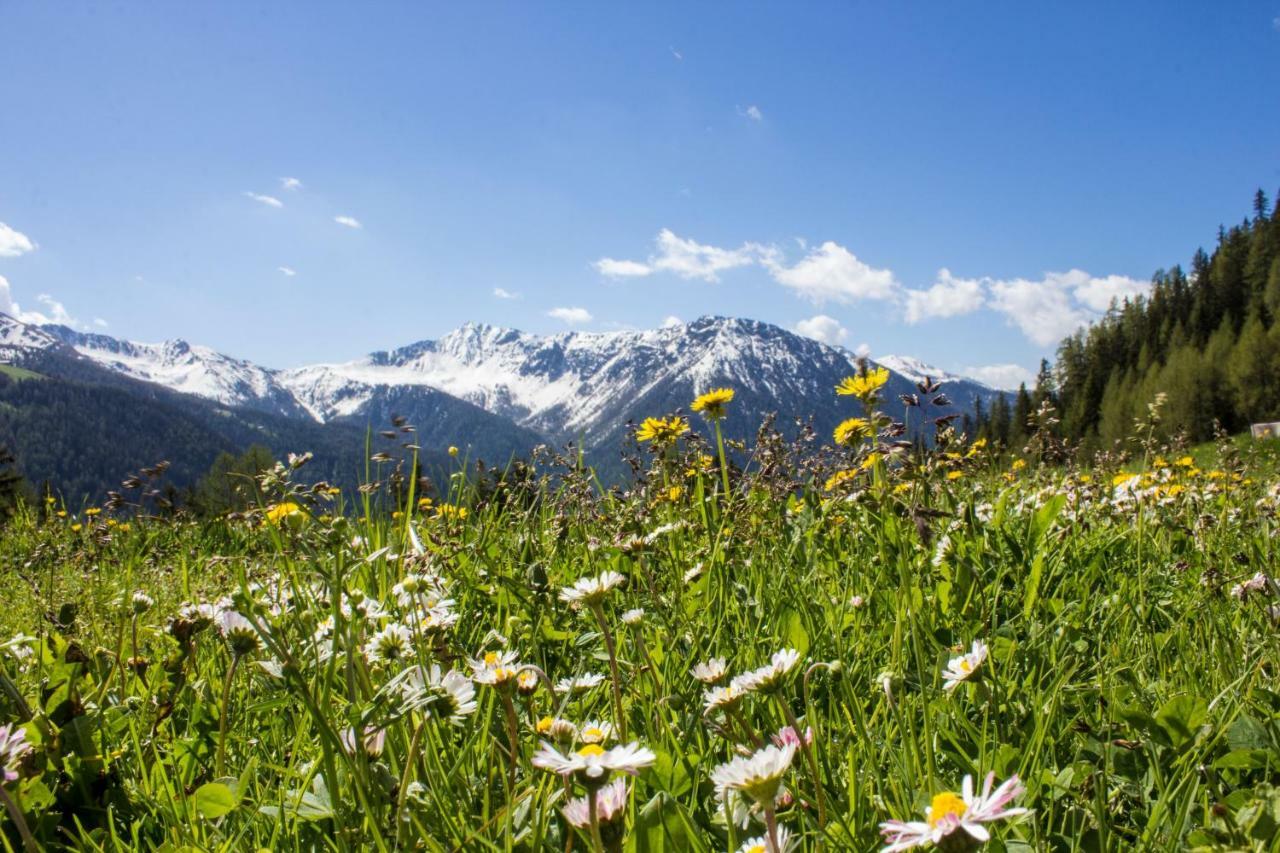 Unterhabererhof Apartman Santa Maddalena in Casies Kültér fotó