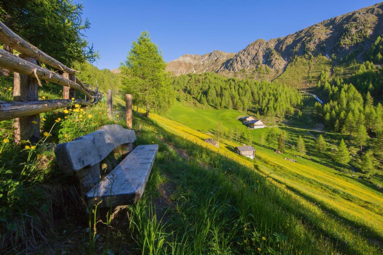 Unterhabererhof Apartman Santa Maddalena in Casies Kültér fotó